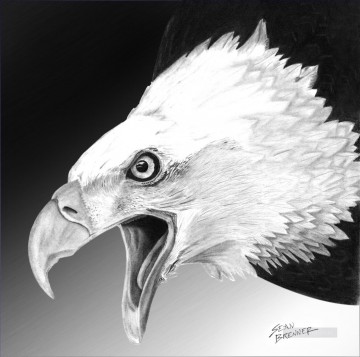 Animal Painting - pájaros águila blanca
